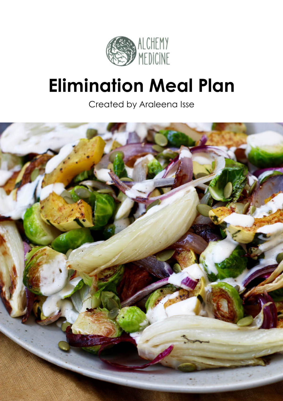 Elimination diet for gut reset by Alchemy Medicine front cover page with healthy food 