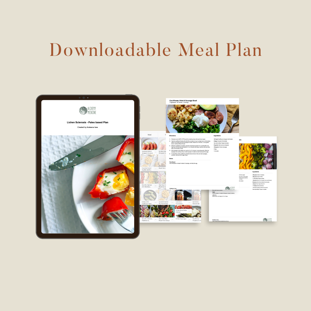 Paleo Diet &amp; Meal Plan